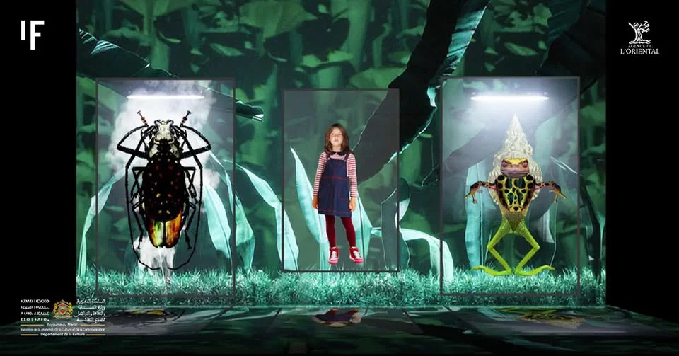 Spectacle : E.Motion – L’extraordinaire métamorphose